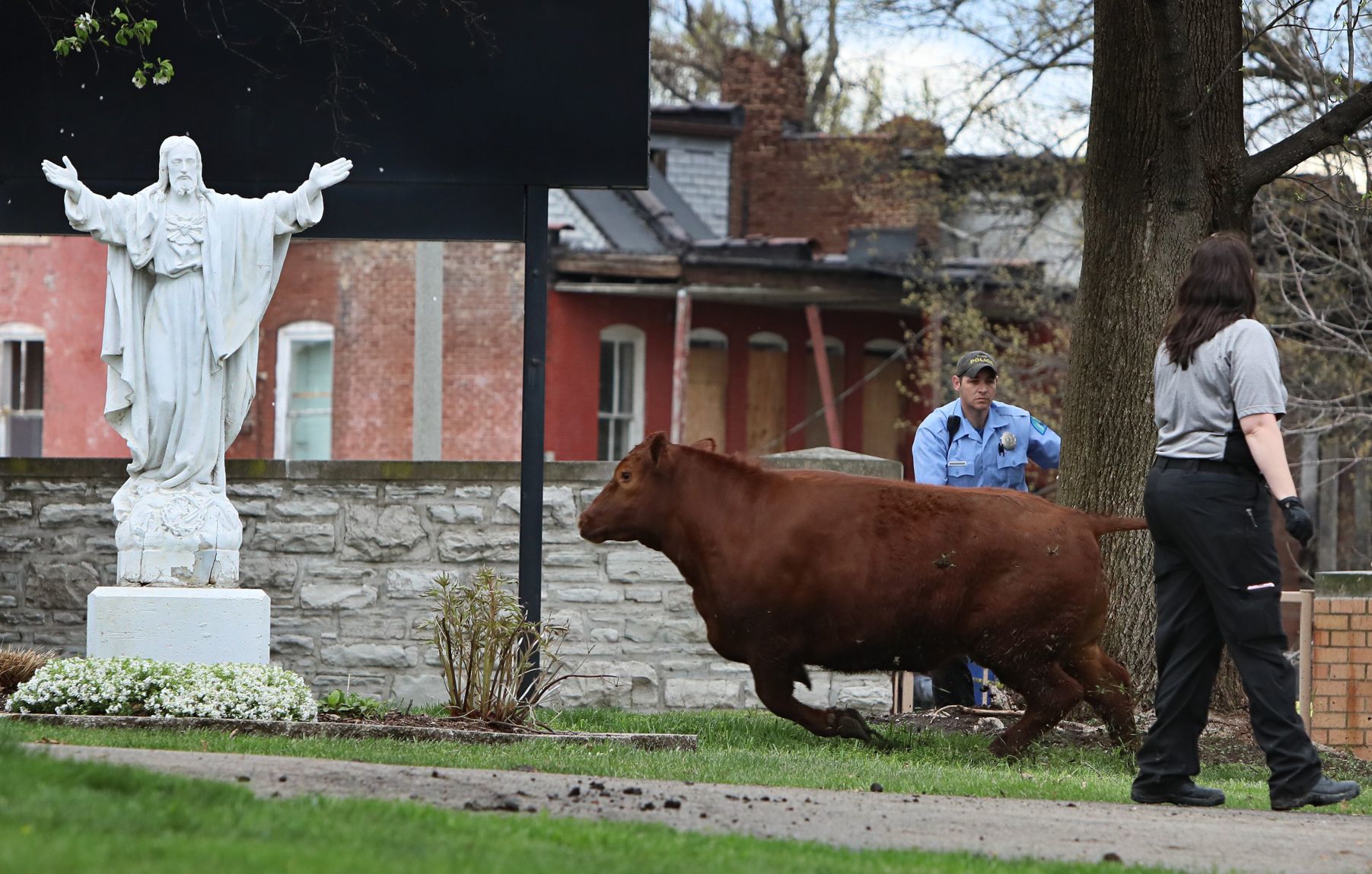 Steer breaks for freedom